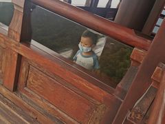 -杭州半山国家森林公园