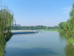 -大兴滨河森林公园