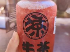 -牛茶·燕窝饮品(SKPS店)