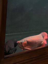 -青木造型HAIR·あおき髪を刈る潮人店