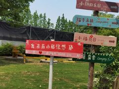 -前小桔亲子创意农场·草莓采摘·露营烧烤