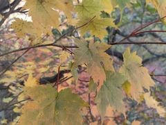 -丹东天桥沟景区