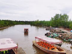 -东寨港红树林旅游区