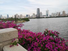 -晋爵会游泳馆(海湾公园店)