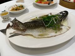 -稻香酒家·35年老字号(侨光店)