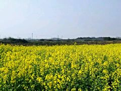 android_upload_pic-武汉华夏国际影城(鲁广店)