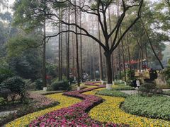 -忠山公园