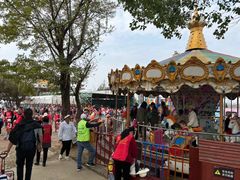 -武汉紫薇都市田园