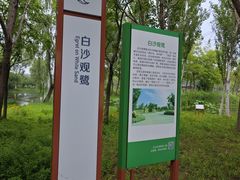 -东郊湿地公园