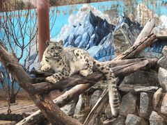 -青藏高原野生动物园
