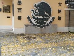 -三里屯东五街银杏大道