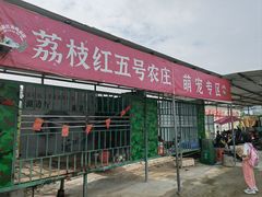 -荔枝红五号农庄