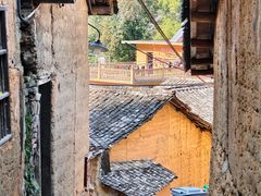 -杨家堂村