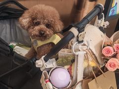 -福田卓悦INTOWN购物中心