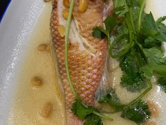 -吴记富苑(朝阳店)