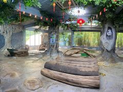-海南热带野生动植物园
