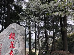 -武汉大学-樱园