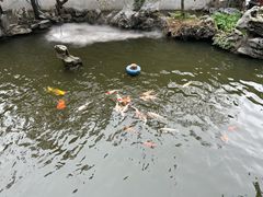 -东江渔村·古典园林·30年粤菜老字号(太和店)