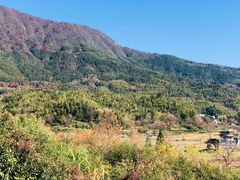 -塔川景区