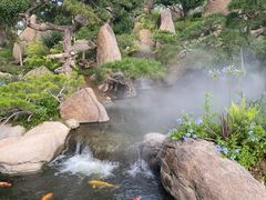 -罗红摄影艺术馆