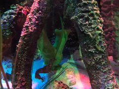 -沈阳海洋探索中心