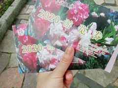 -南汇桃花村