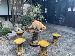 -西园戒幢律寺