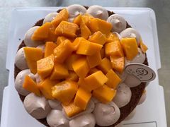 -今日·TODAY手作低脂动物奶油蛋糕定制(高新万达店)