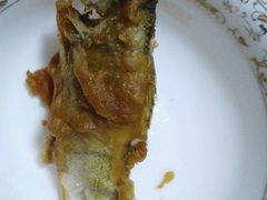 -煲来饱去冷水鱼
