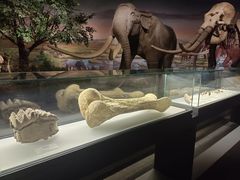 -湖南省地质博物馆