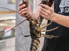 -阿拉斯加·海货(马王堆店)