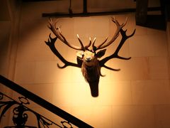 -北京拉斐特城堡酒店