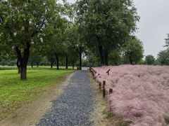 -汉长安城未央宫国家考古遗址公园