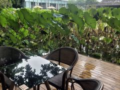 -三圣花乡旅游区