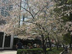 -玛格萝妮比萨屋(四平店)