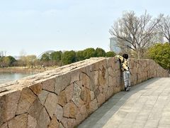 -澹台湖公园
