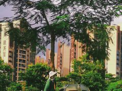 -白石龙音乐公园