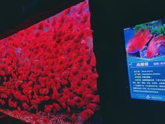 -多彩贵州城极地海洋世界