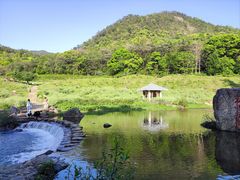-广州市石门国家森林公园