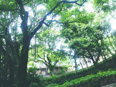 -乌山风景区