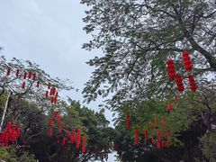 -深圳国际园林花卉博览园