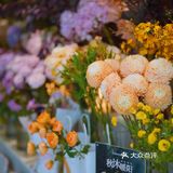 电影里的浪漫约会💕在桂花季完美演绎