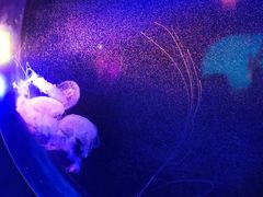 -太平洋海底世界