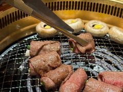 -MIKOMIKO和牛烧肉专门店(南门店)