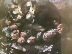 -Xcape异时刻密室逃脱魔法互动(瑞虹天地太阳宫店)