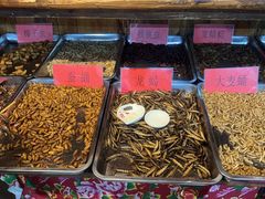 -昆虫窝子·特色云南菜(拓东路总店)