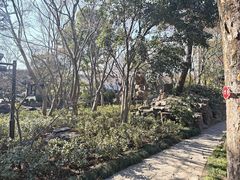 -秋霞圃