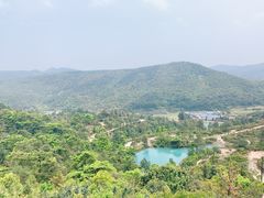 -大姆山草场