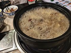 -蘑统田下·野生菌火锅