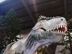 -湖南省地质博物馆